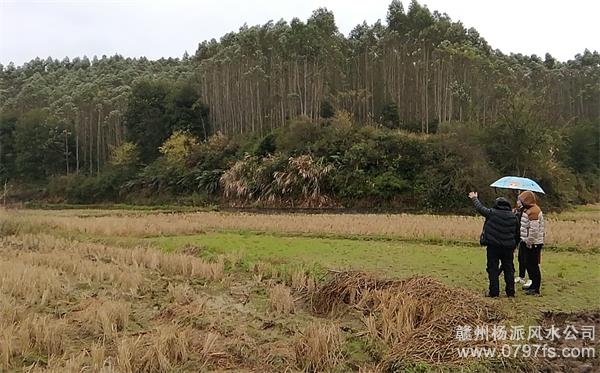 花地玛堂区陈老师带着爱徒寻龙点穴